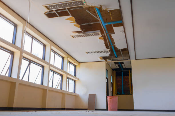 Best Water damage restoration cost  in Big Timber, MT