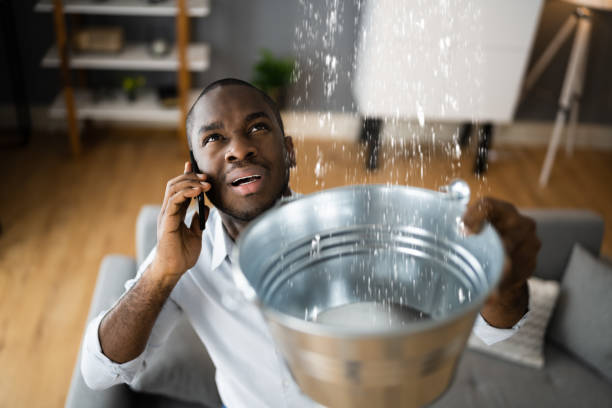 Best Carpet water damage restoration  in Big Timber, MT