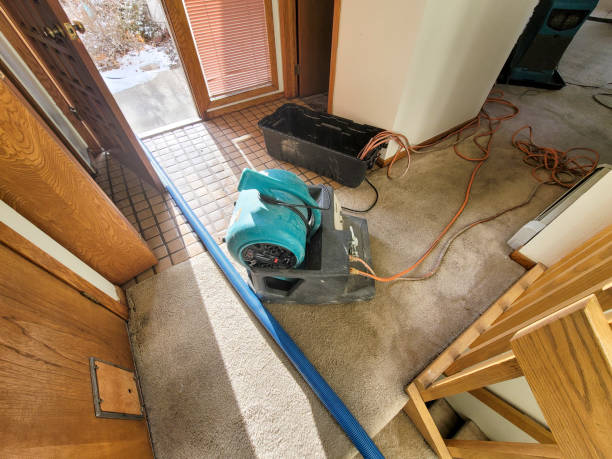 Best Ceiling water damage repair  in Big Timber, MT