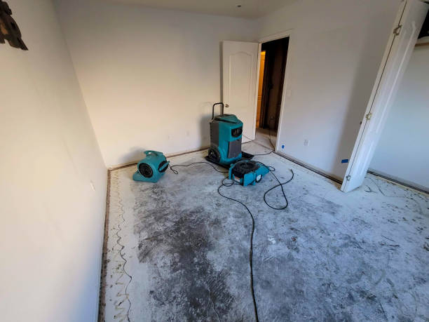 Best Local water damage restoration  in Big Timber, MT
