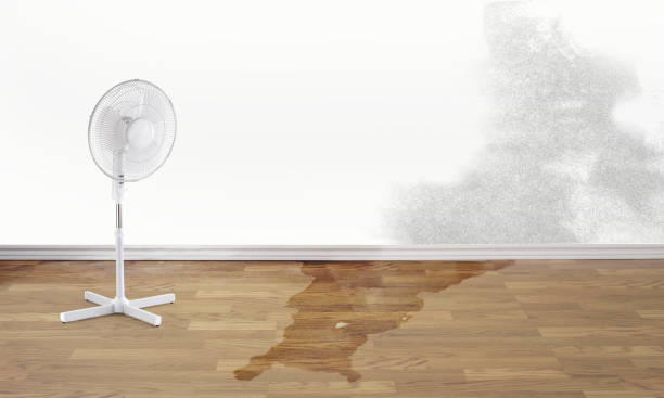 Best Residential water damage restoration  in Big Timber, MT