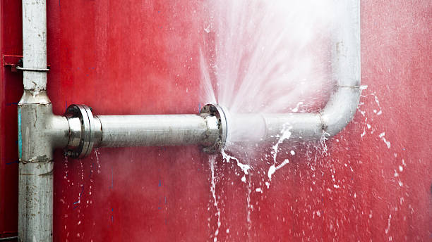 Best Mold removal after water damage  in Big Timber, MT