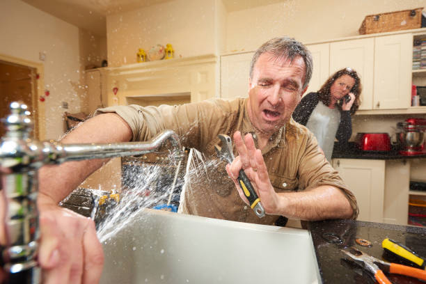 Best Carpet water damage restoration  in Big Timber, MT